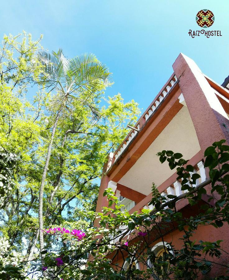 Raiz Hostel Medellin Exterior photo